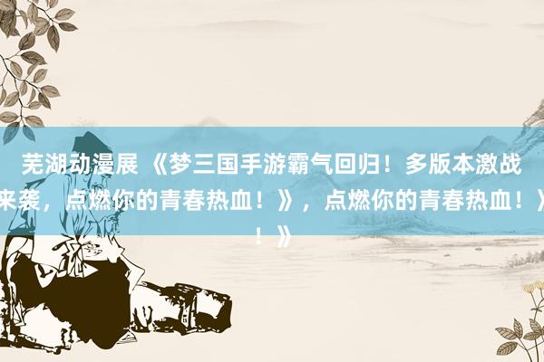 芜湖动漫展 《梦三国手游霸气回归！多版本激战来袭，点燃你的青春热血！》，点燃你的青春热血！》