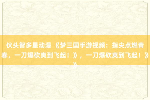 伙头智多星动漫 《梦三国手游视频：指尖点燃青春，一刀爆砍爽到飞起！》，一刀爆砍爽到飞起！》