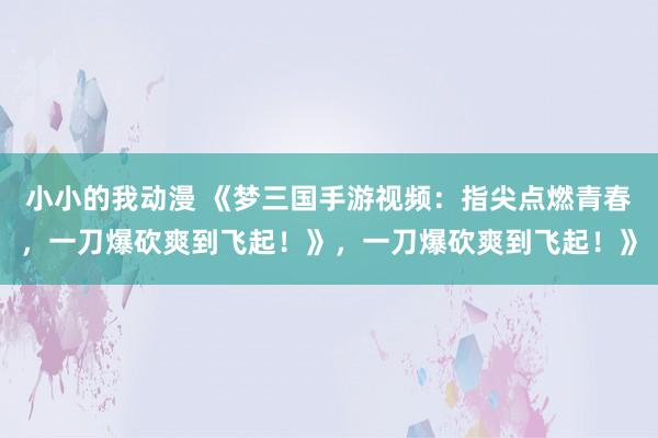 小小的我动漫 《梦三国手游视频：指尖点燃青春，一刀爆砍爽到飞起！》，一刀爆砍爽到飞起！》