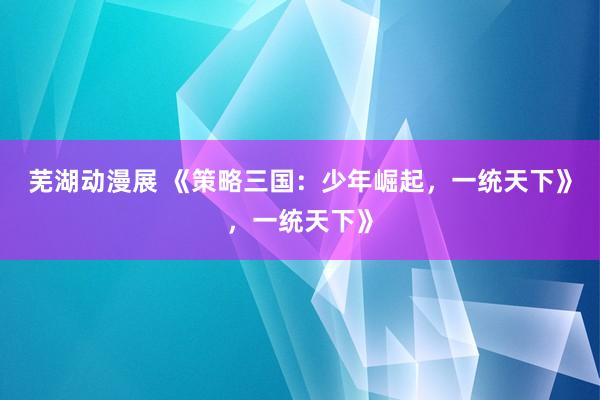 芜湖动漫展 《策略三国：少年崛起，一统天下》，一统天下》