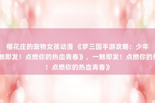 樱花庄的宠物女孩动漫 《梦三国手游攻略：少年征战，一触即发！点燃你的热血青春》，一触即发！点燃你的热血青春》