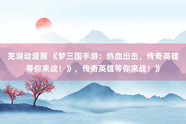 芜湖动漫展 《梦三国手游：热血出击，传奇英雄等你来战！》，传奇英雄等你来战！》