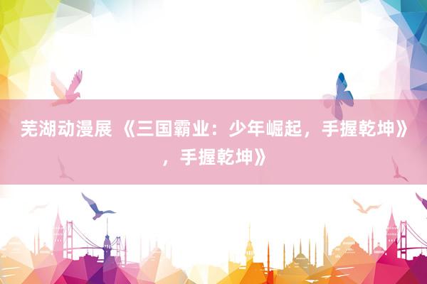 芜湖动漫展 《三国霸业：少年崛起，手握乾坤》，手握乾坤》