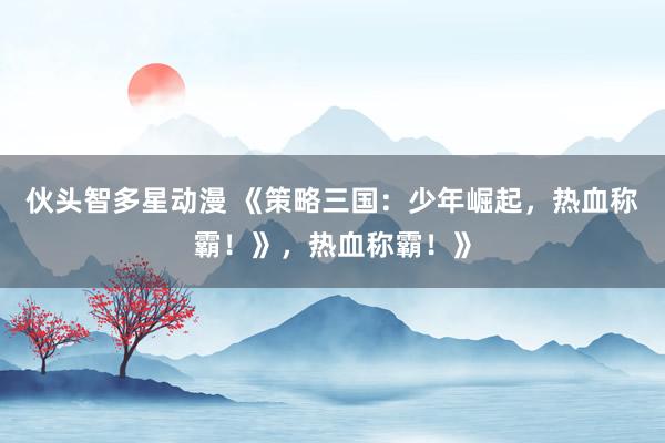 伙头智多星动漫 《策略三国：少年崛起，热血称霸！》，热血称霸！》