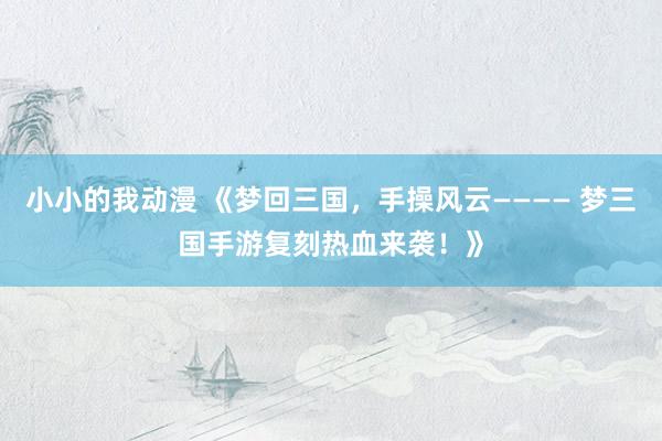 小小的我动漫 《梦回三国，手操风云———— 梦三国手游复刻热血来袭！》