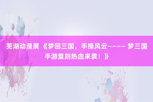 芜湖动漫展 《梦回三国，手操风云———— 梦三国手游复刻热血来袭！》