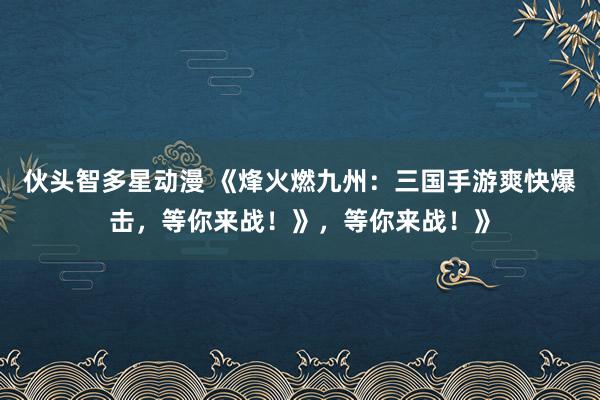 伙头智多星动漫 《烽火燃九州：三国手游爽快爆击，等你来战！》，等你来战！》