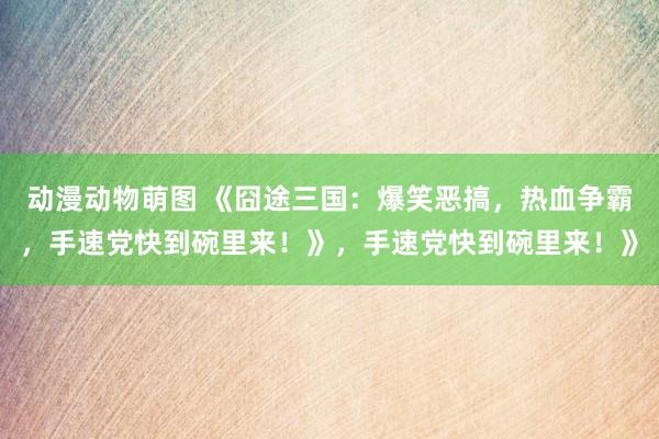 动漫动物萌图 《囧途三国：爆笑恶搞，热血争霸，手速党快到碗里来！》，手速党快到碗里来！》