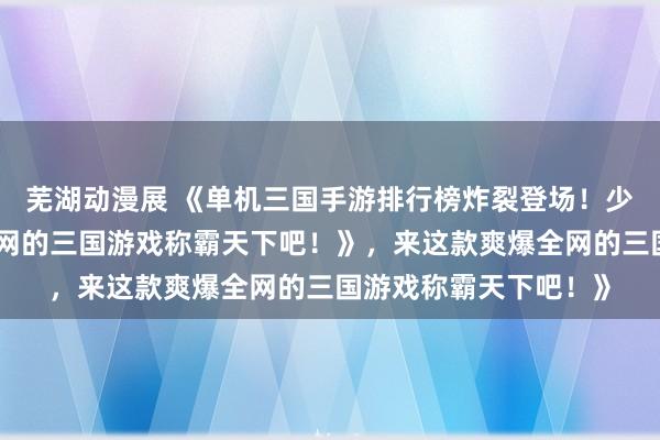 芜湖动漫展 《单机三国手游排行榜炸裂登场！少年们，来这款爽爆全网的三国游戏称霸天下吧！》，来这款爽爆全网的三国游戏称霸天下吧！》