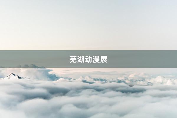 芜湖动漫展