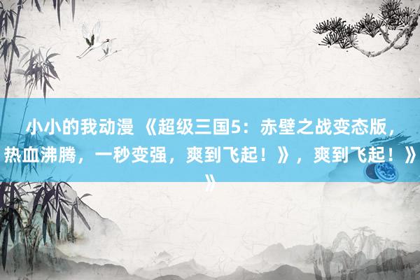 小小的我动漫 《超级三国5：赤壁之战变态版，热血沸腾，一秒变强，爽到飞起！》，爽到飞起！》
