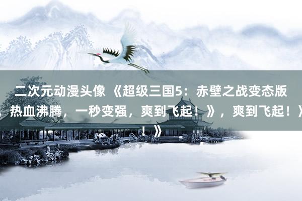 二次元动漫头像 《超级三国5：赤壁之战变态版，热血沸腾，一秒变强，爽到飞起！》，爽到飞起！》