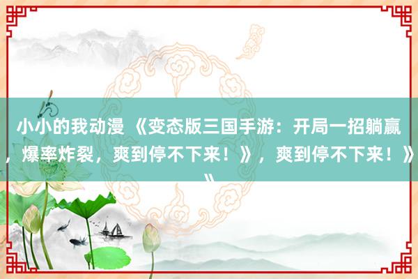 小小的我动漫 《变态版三国手游：开局一招躺赢，爆率炸裂，爽到停不下来！》，爽到停不下来！》