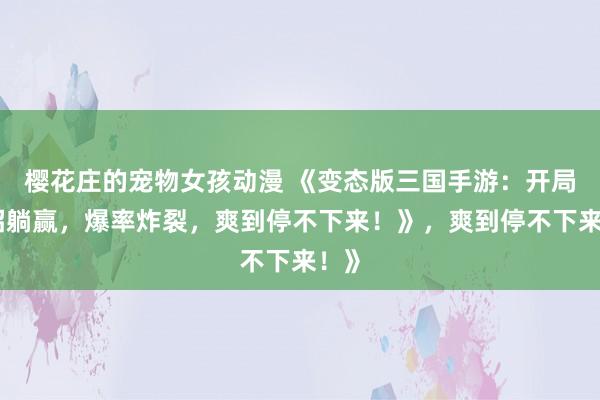 樱花庄的宠物女孩动漫 《变态版三国手游：开局一招躺赢，爆率炸裂，爽到停不下来！》，爽到停不下来！》