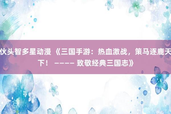 伙头智多星动漫 《三国手游：热血激战，策马逐鹿天下！ ———— 致敬经典三国志》