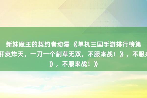 新妹魔王的契约者动漫 《单机三国手游排行榜第一！爆肝爽炸天，一刀一个割草无双，不服来战！》，不服来战！》