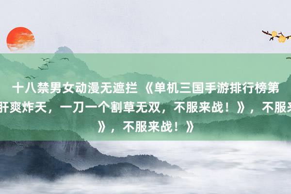 十八禁男女动漫无遮拦 《单机三国手游排行榜第一！爆肝爽炸天，一刀一个割草无双，不服来战！》，不服来战！》
