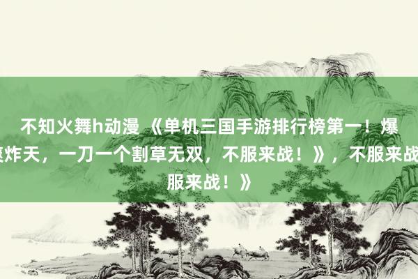 不知火舞h动漫 《单机三国手游排行榜第一！爆肝爽炸天，一刀一个割草无双，不服来战！》，不服来战！》