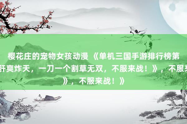 樱花庄的宠物女孩动漫 《单机三国手游排行榜第一！爆肝爽炸天，一刀一个割草无双，不服来战！》，不服来战！》