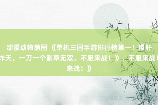 动漫动物萌图 《单机三国手游排行榜第一！爆肝爽炸天，一刀一个割草无双，不服来战！》，不服来战！》