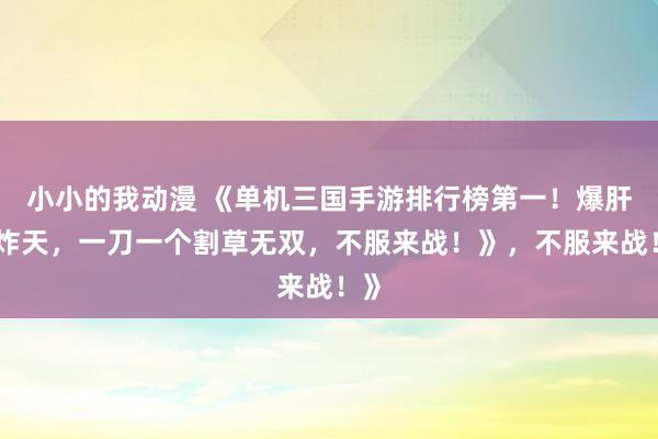 小小的我动漫 《单机三国手游排行榜第一！爆肝爽炸天，一刀一个割草无双，不服来战！》，不服来战！》