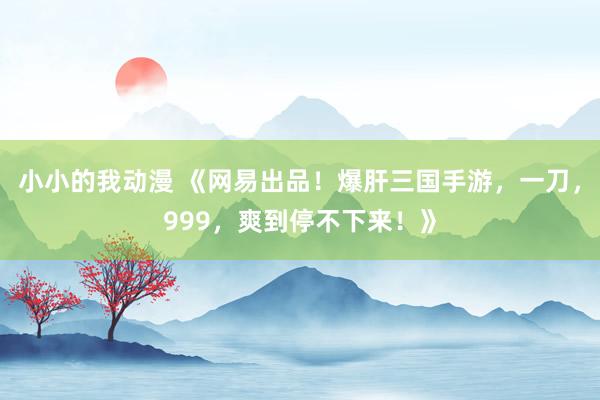 小小的我动漫 《网易出品！爆肝三国手游，一刀，999，爽到停不下来！》