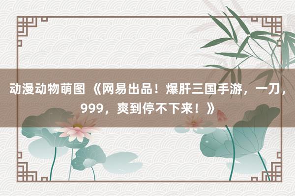 动漫动物萌图 《网易出品！爆肝三国手游，一刀，999，爽到停不下来！》
