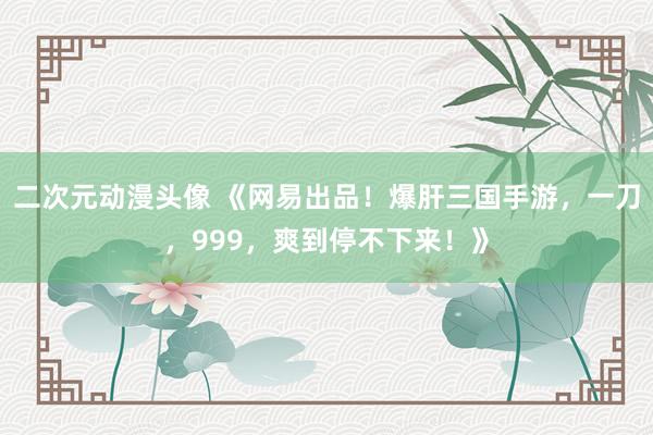 二次元动漫头像 《网易出品！爆肝三国手游，一刀，999，爽到停不下来！》