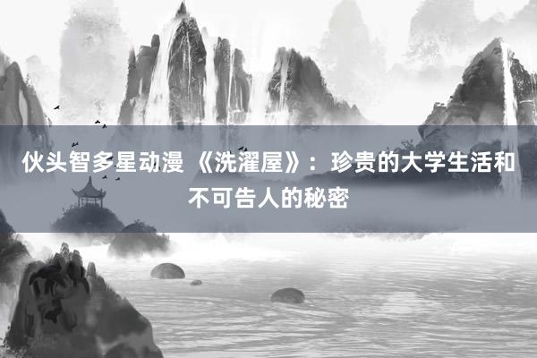 伙头智多星动漫 《洗濯屋》：珍贵的大学生活和不可告人的秘密