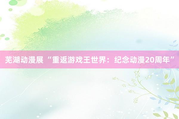 芜湖动漫展 “重返游戏王世界：纪念动漫20周年”